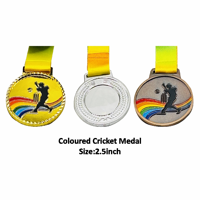 17-28Coloured Cricket Medal.jpg